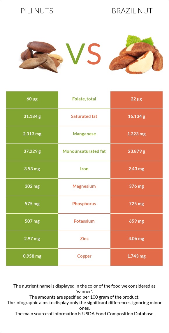 Pili nuts vs Brazil nut infographic