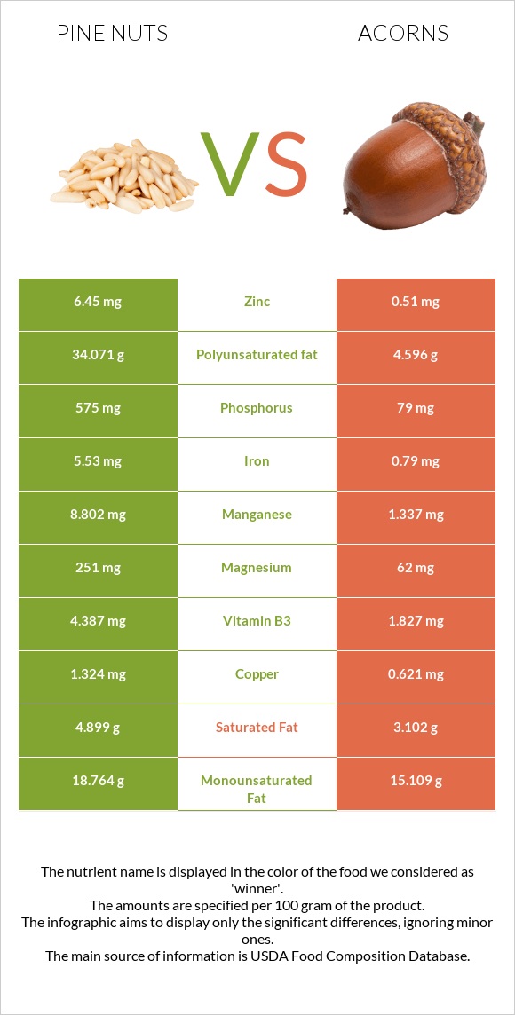 Pine nuts vs Acorns infographic