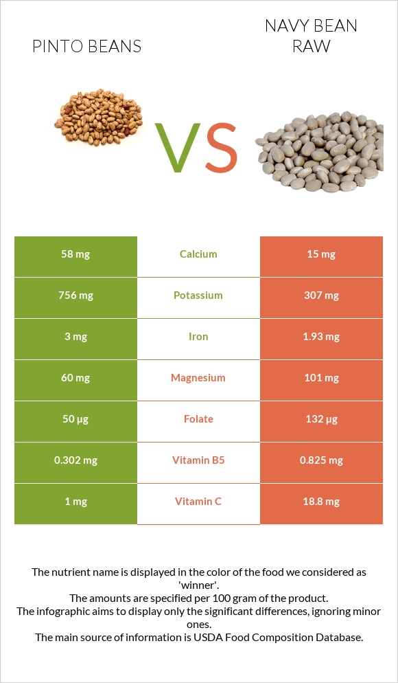 Pinto beans vs Navy bean raw infographic