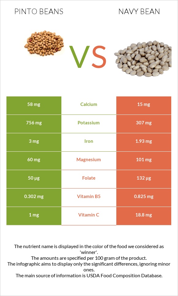 Pinto beans vs Navy beans infographic