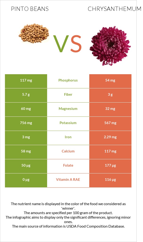 Pinto beans vs Chrysanthemum infographic