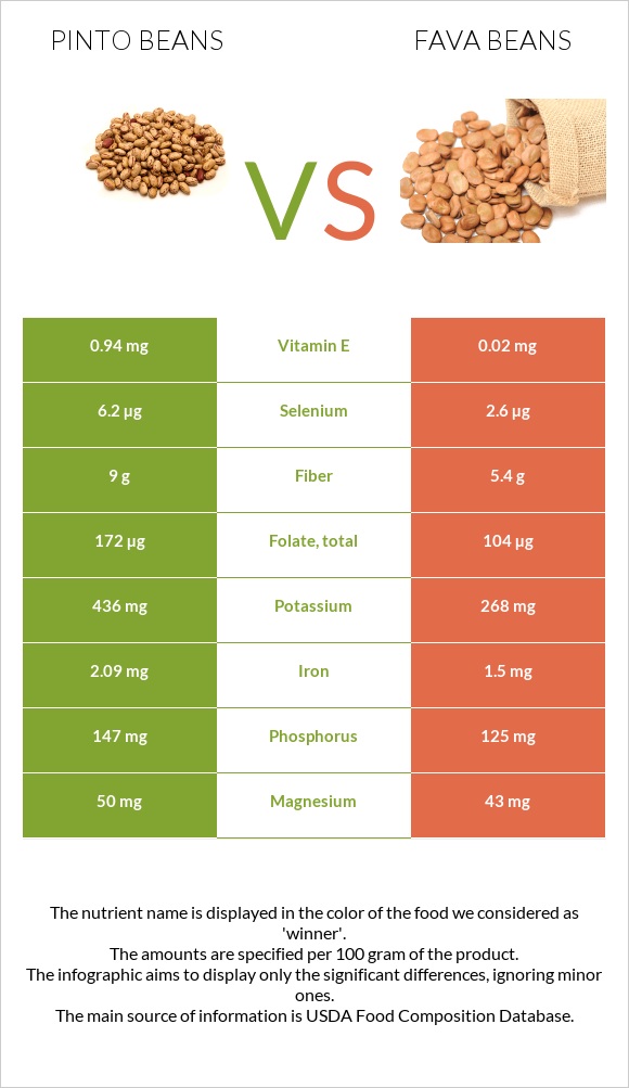 Pinto beans vs Fava beans infographic