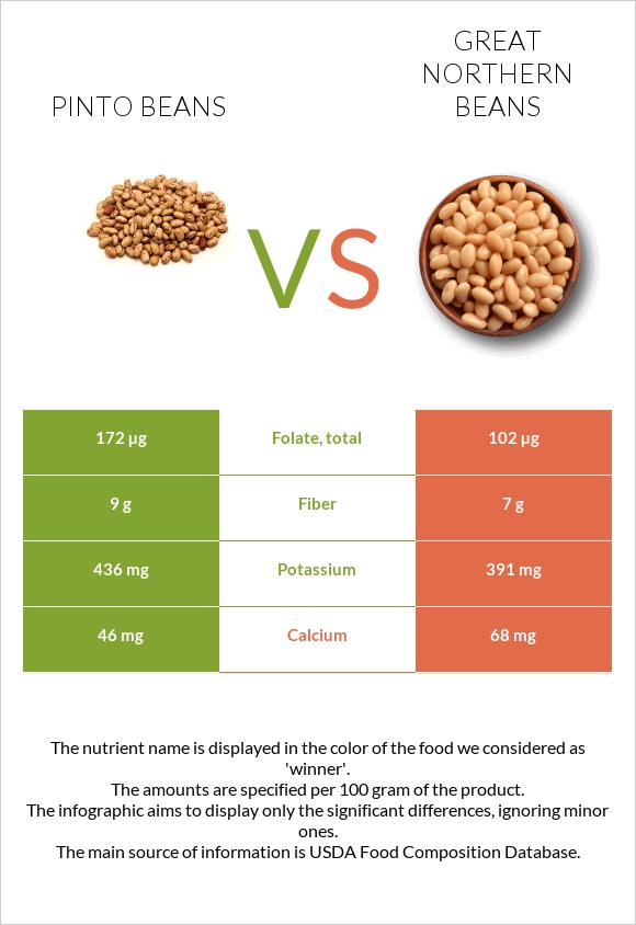 Pinto beans vs Great northern beans infographic