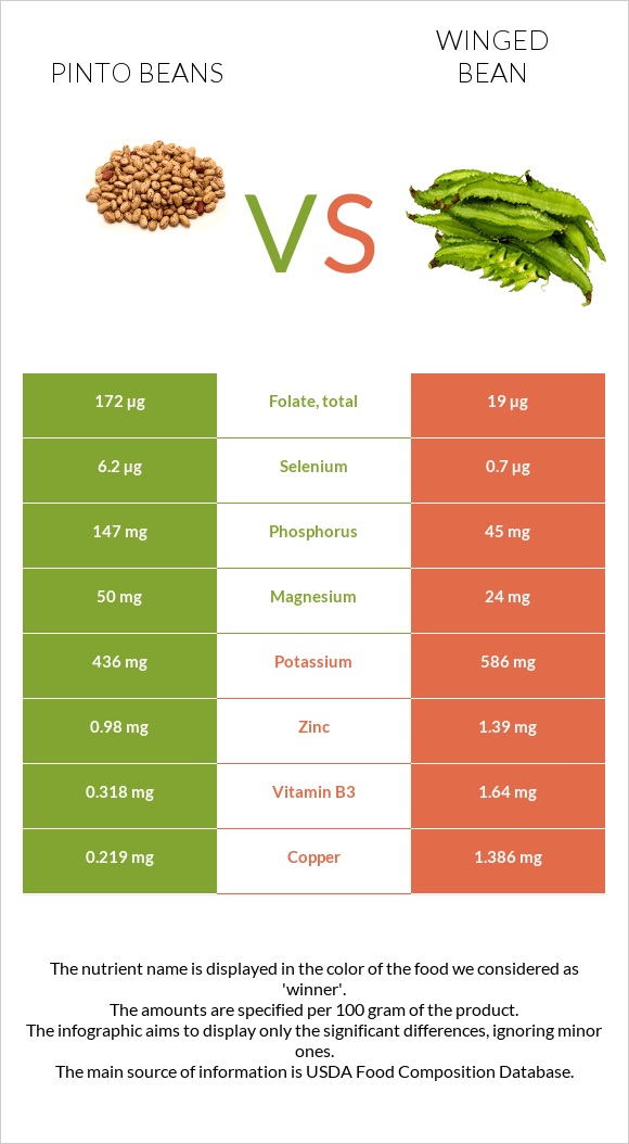 Pinto beans vs Winged bean infographic