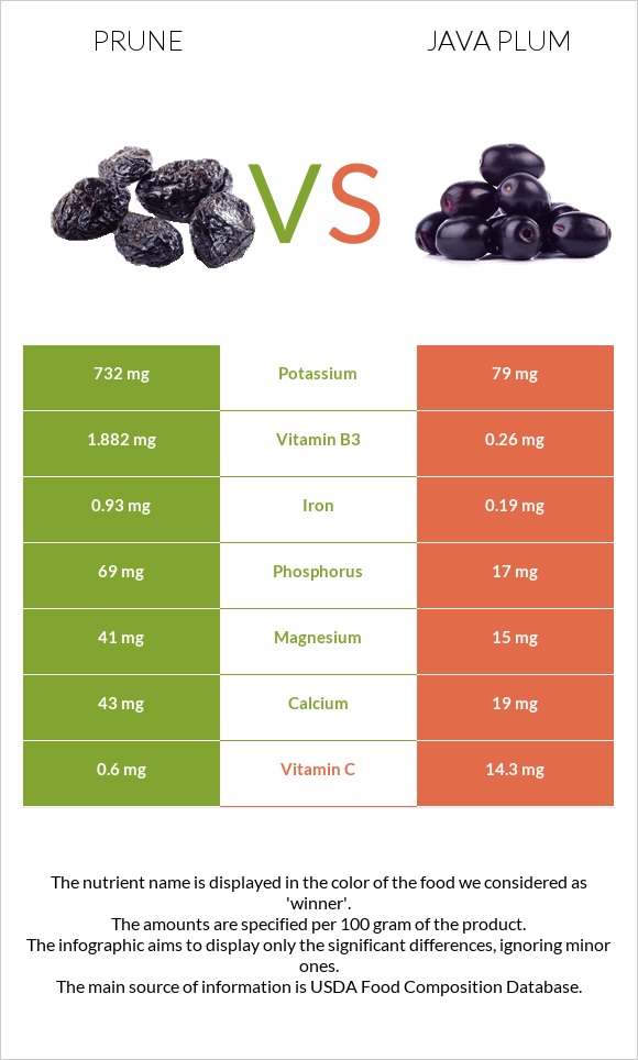 Prunes vs Java plum infographic