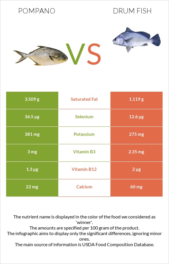 Pompano vs Drum fish infographic
