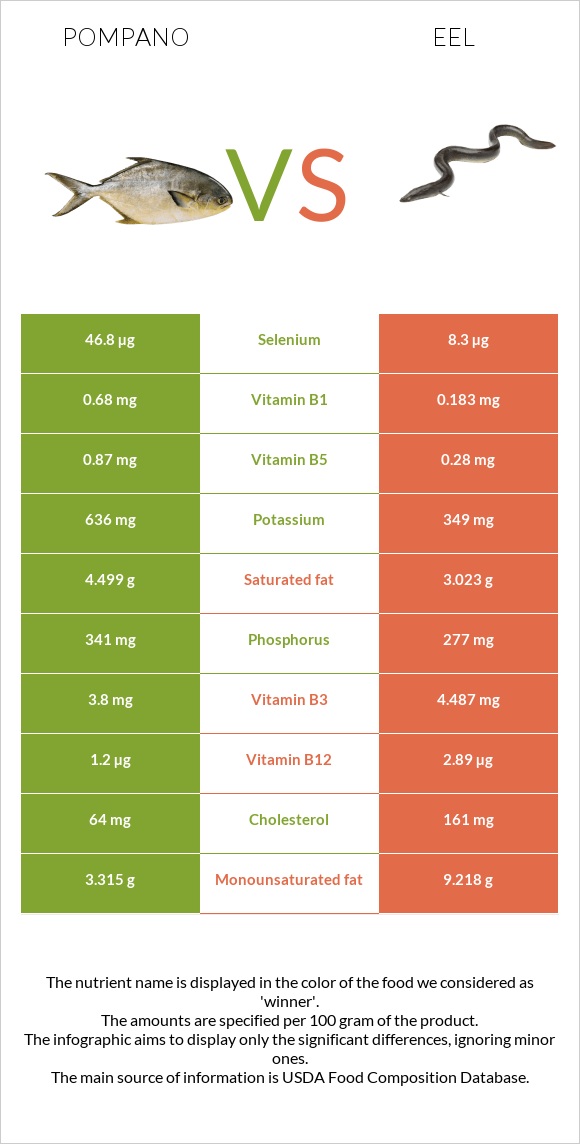 Pompano vs Eel infographic