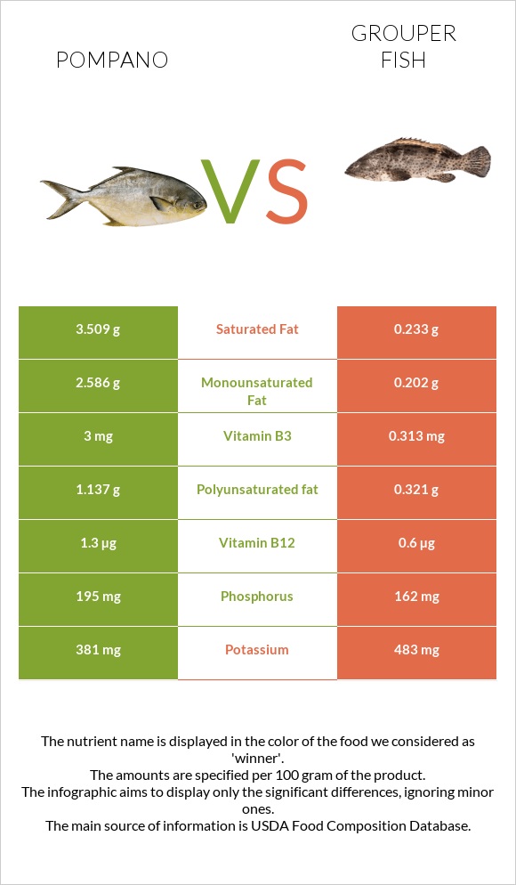 Pompano vs Grouper fish infographic