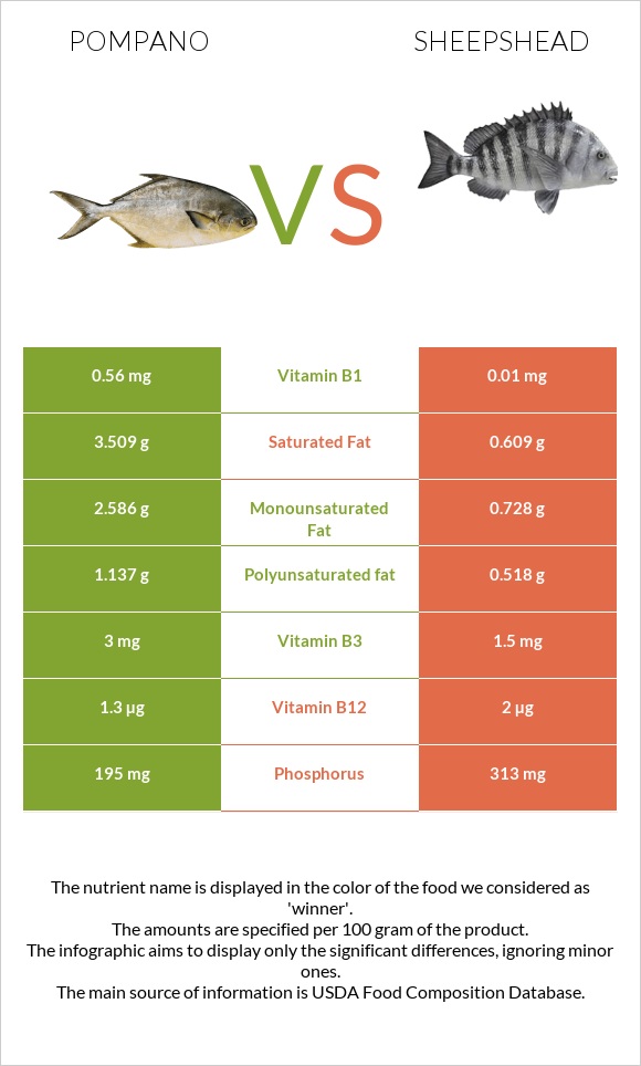 Pompano vs Sheepshead infographic