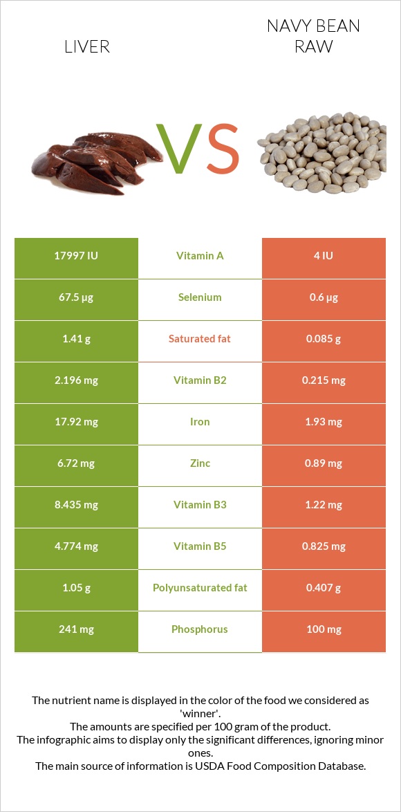 Liver vs Navy bean raw infographic