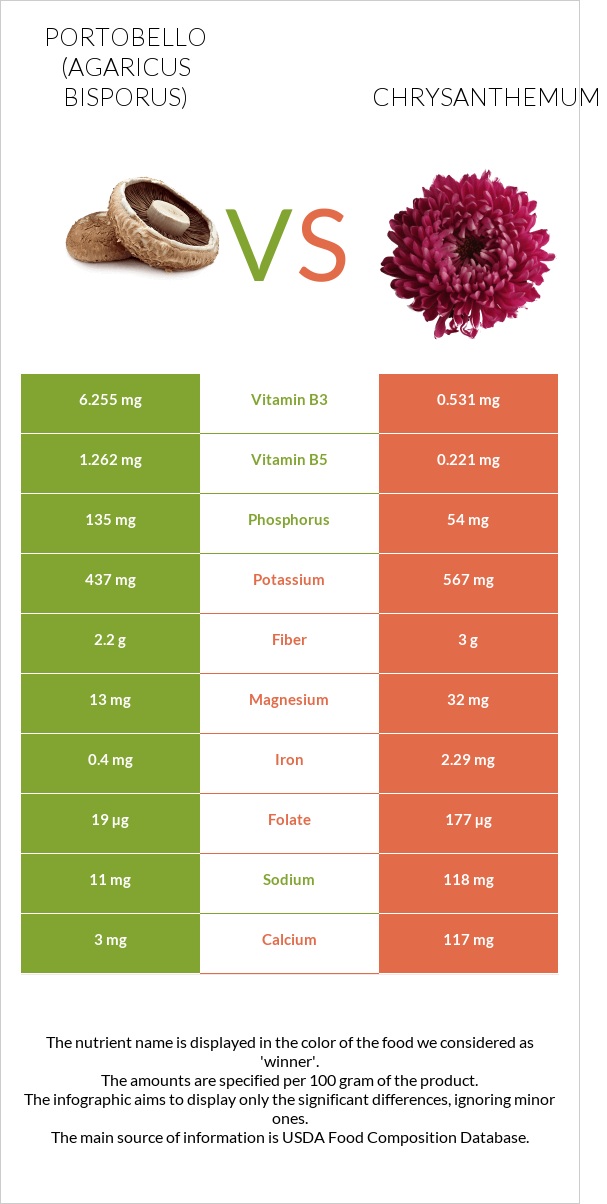 Portobello vs Chrysanthemum infographic