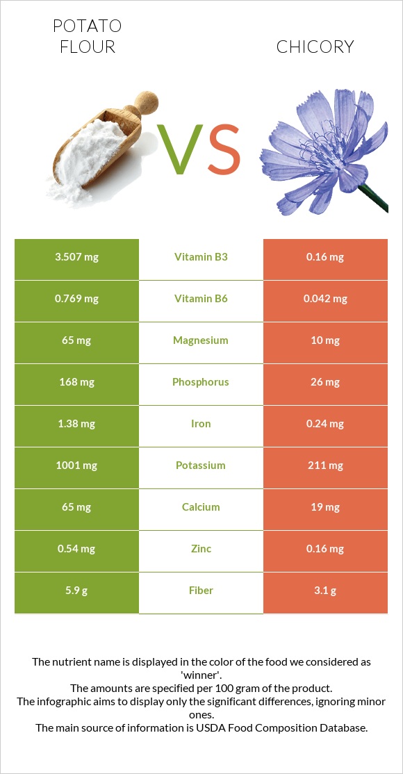 Potato flour vs Chicory infographic
