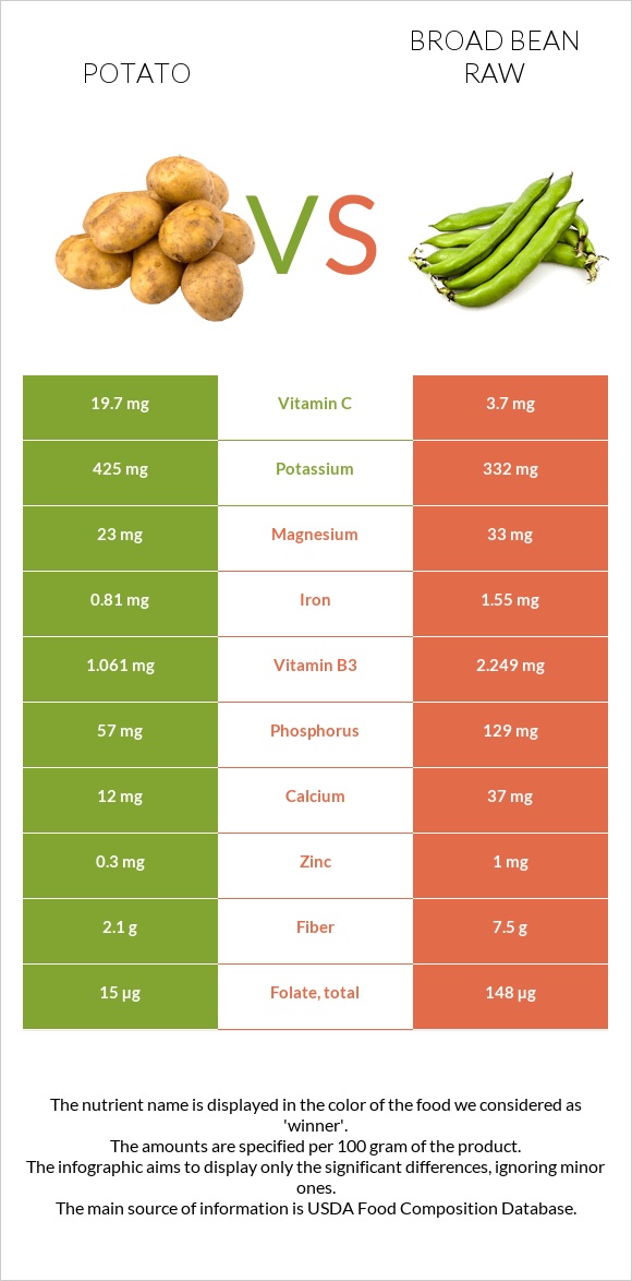 Potato vs Broad bean raw infographic