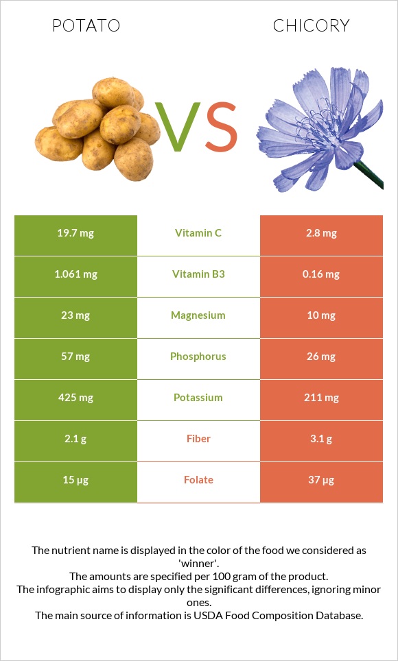 Potato vs Chicory infographic