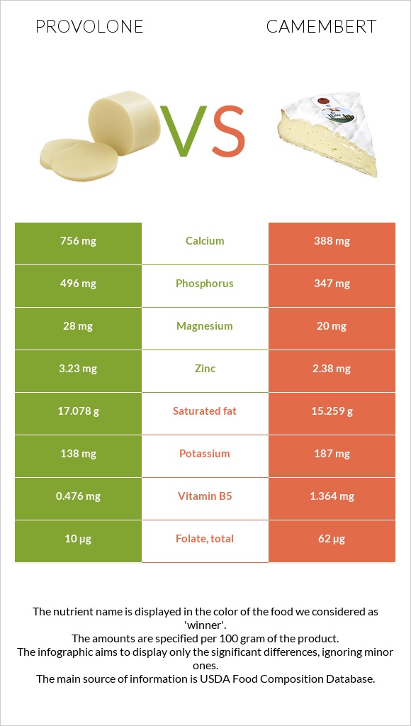 Provolone vs Camembert infographic