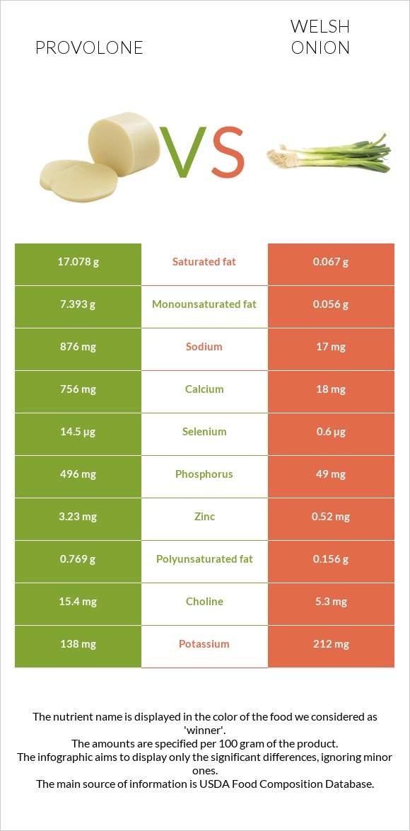 Provolone vs Welsh onion infographic