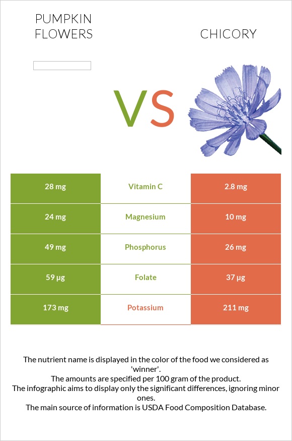 Pumpkin flowers vs Chicory infographic