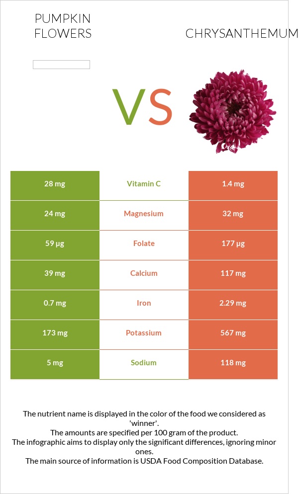 Pumpkin flowers vs Chrysanthemum infographic