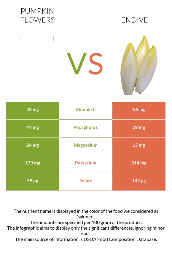 Pumpkin flowers vs Endive infographic