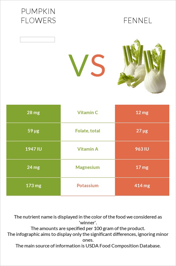 Pumpkin flowers vs Ֆենխել infographic