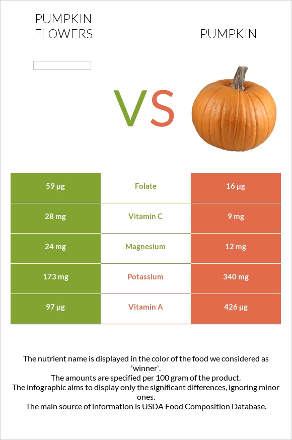 Pumpkin flowers vs Դդում infographic