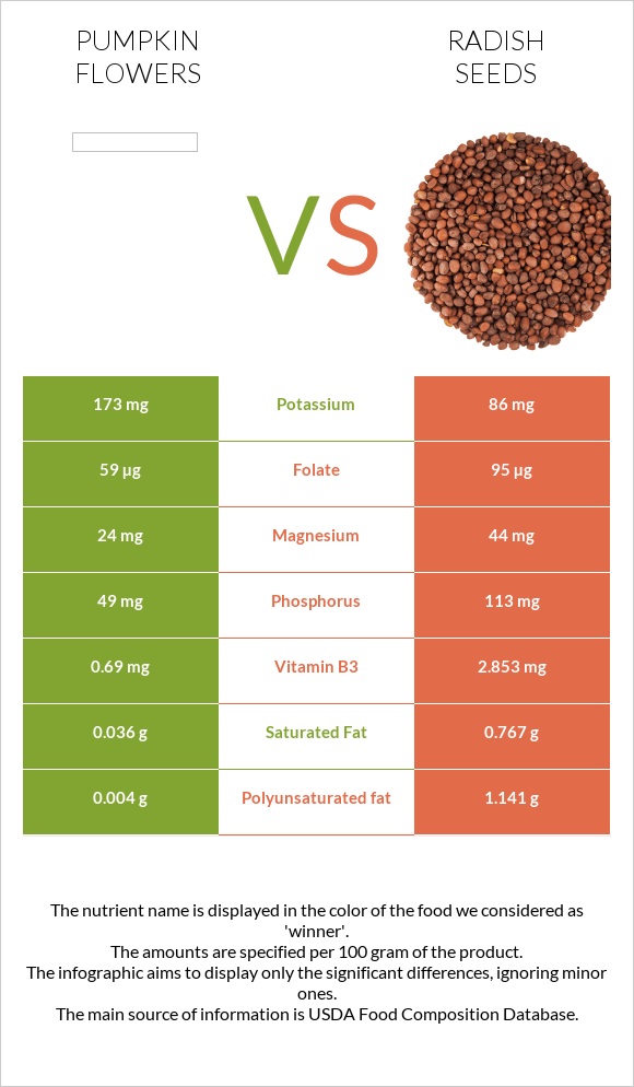 Pumpkin flowers vs Radish seeds infographic