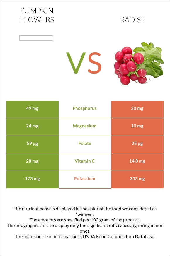 Pumpkin flowers vs Radish infographic