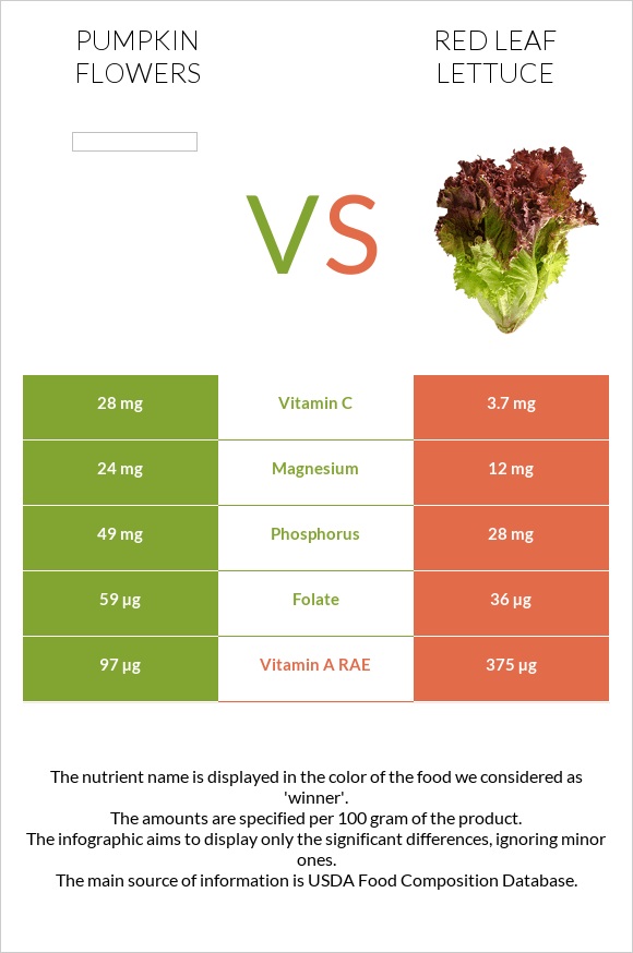 Pumpkin flowers vs Red leaf lettuce infographic