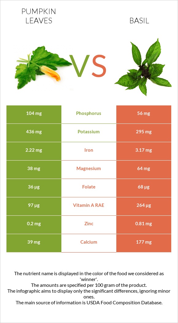 Pumpkin leaves vs Basil infographic