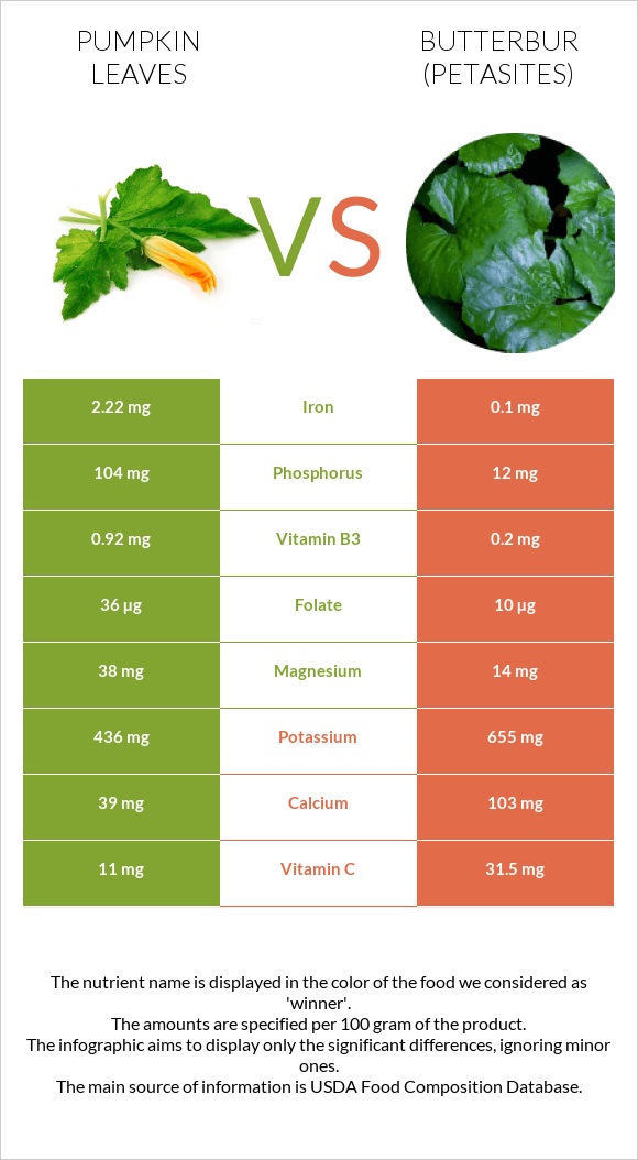 Pumpkin leaves vs Butterbur infographic