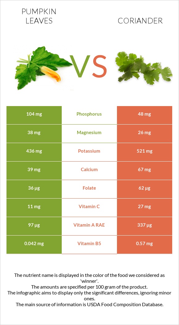 Pumpkin leaves vs Coriander infographic