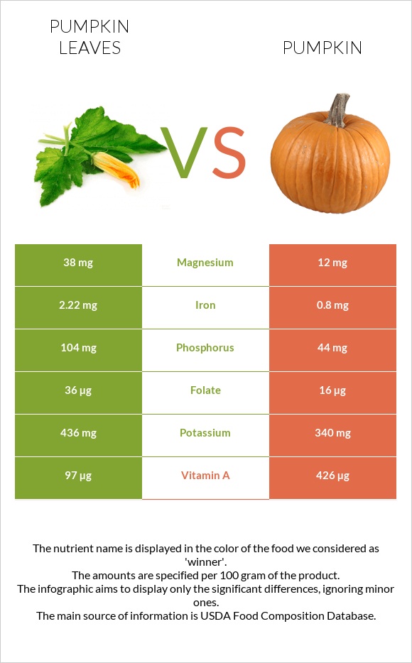 Pumpkin leaves vs Դդում infographic