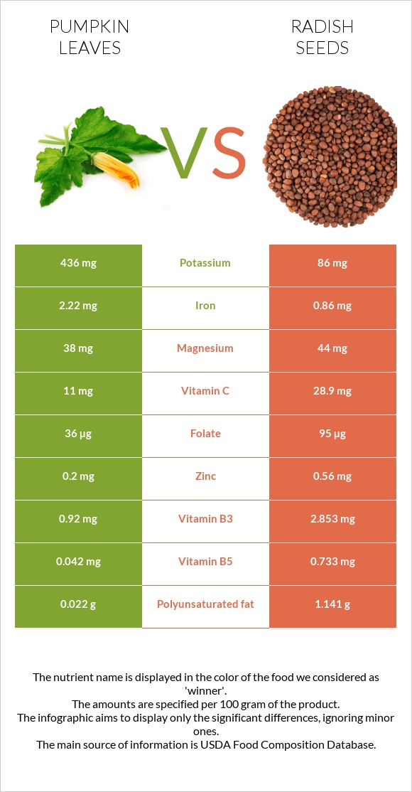 Pumpkin leaves vs Radish seeds infographic