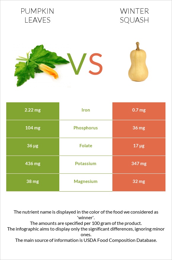 Pumpkin leaves vs Winter squash infographic