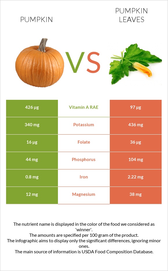 Դդում vs Pumpkin leaves infographic