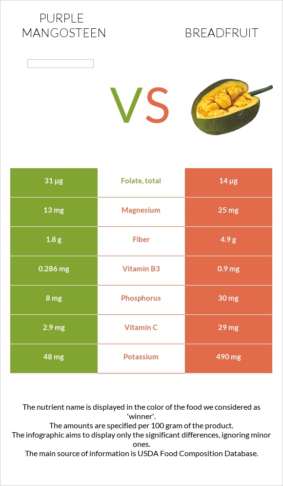 Purple mangosteen vs Breadfruit infographic