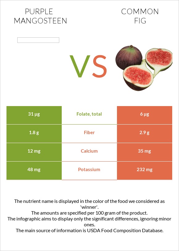 Purple mangosteen vs Common fig infographic