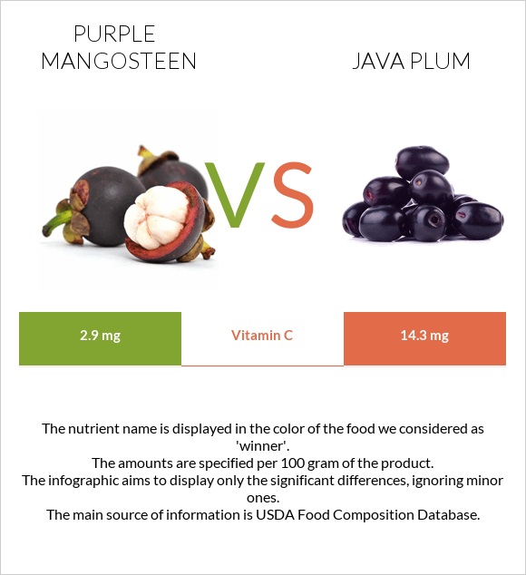 Purple mangosteen vs Java plum infographic