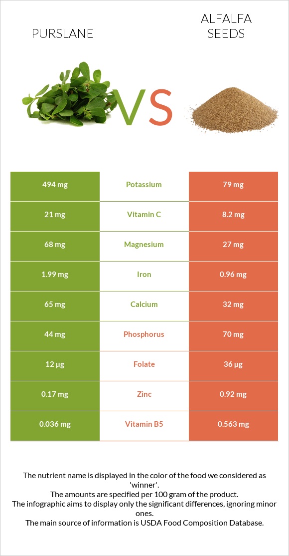 Purslane vs Alfalfa seeds infographic