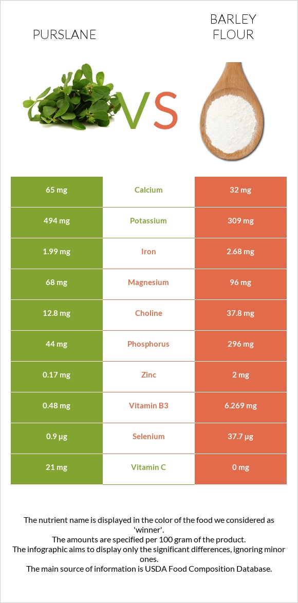 Purslane vs Barley flour infographic