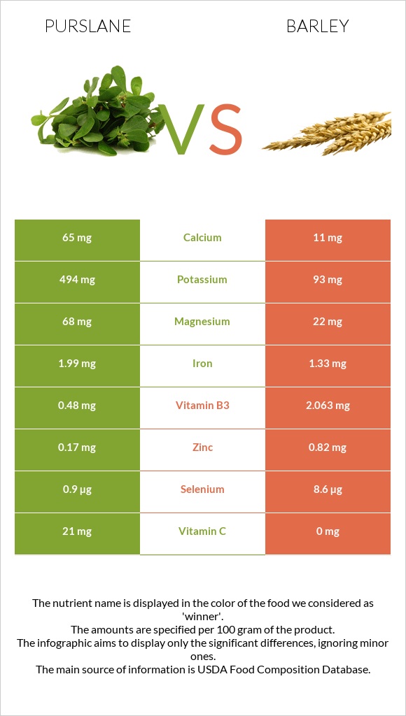 Purslane vs Գարի infographic