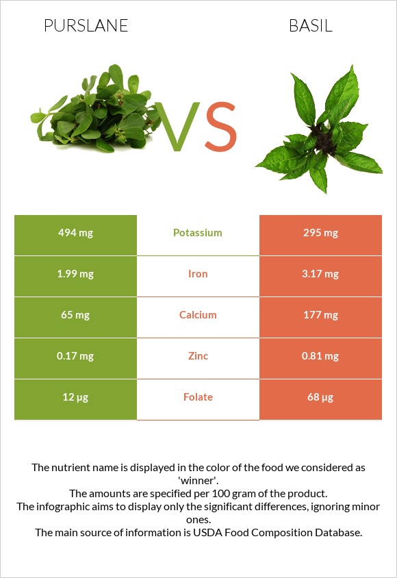 Purslane vs Basil infographic