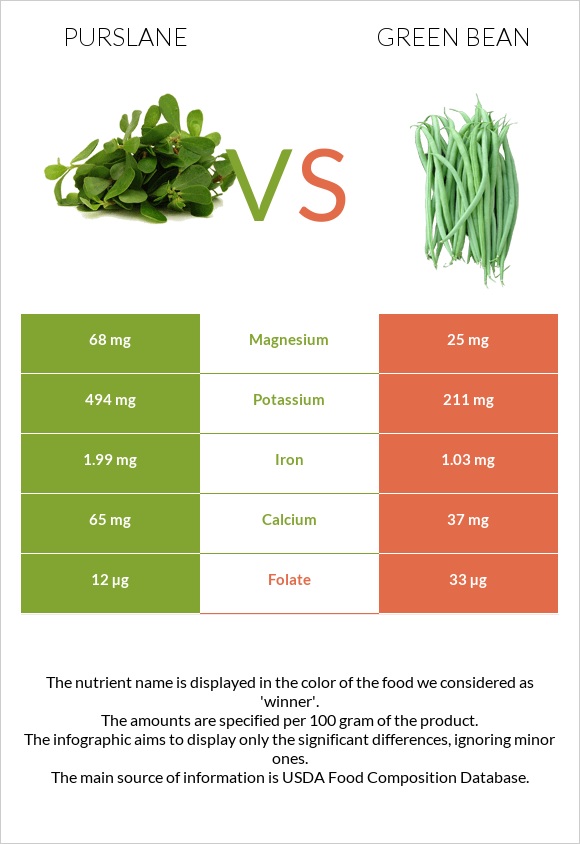 Purslane vs Green bean infographic