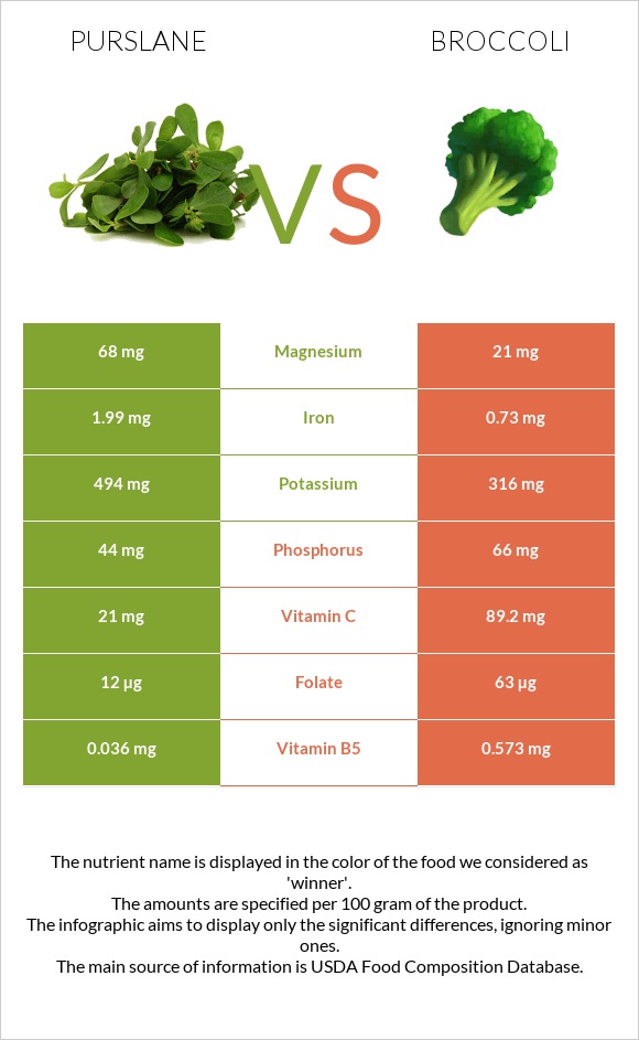 Purslane vs Broccoli infographic
