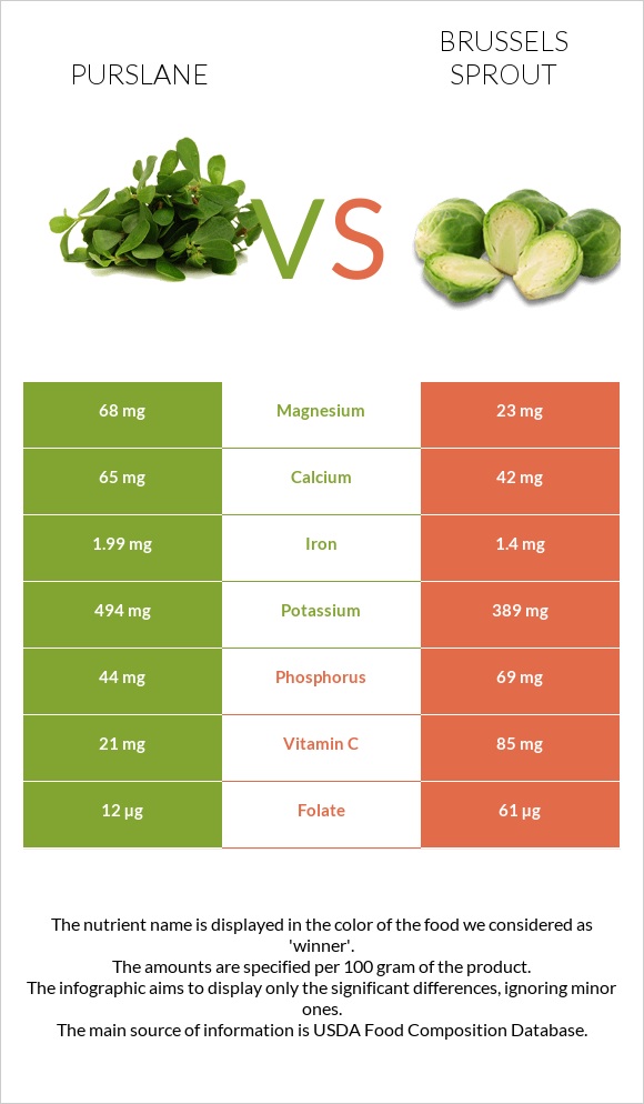 Purslane vs Brussels sprout infographic