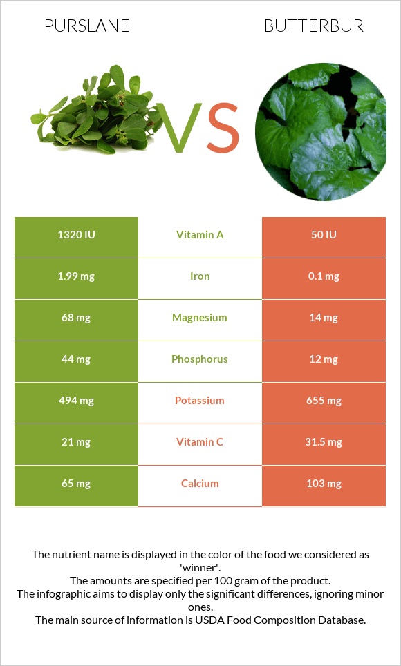 Purslane vs Butterbur infographic