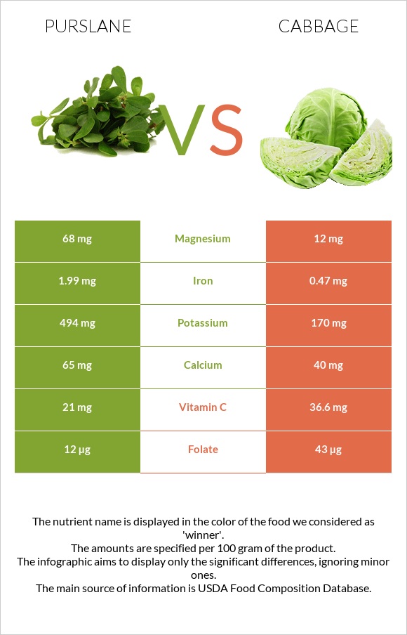 Purslane vs Cabbage infographic