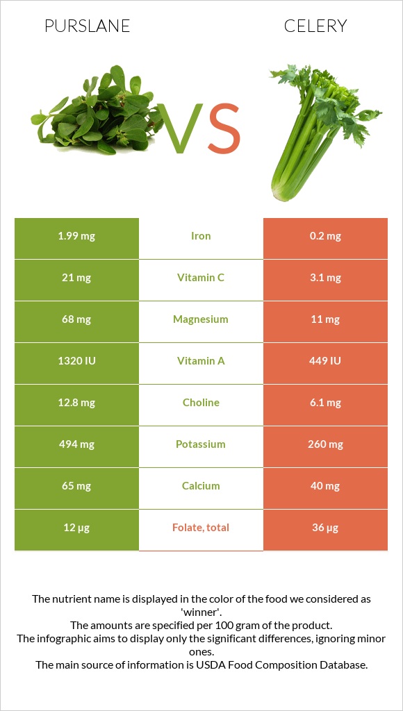 Purslane vs Celery infographic