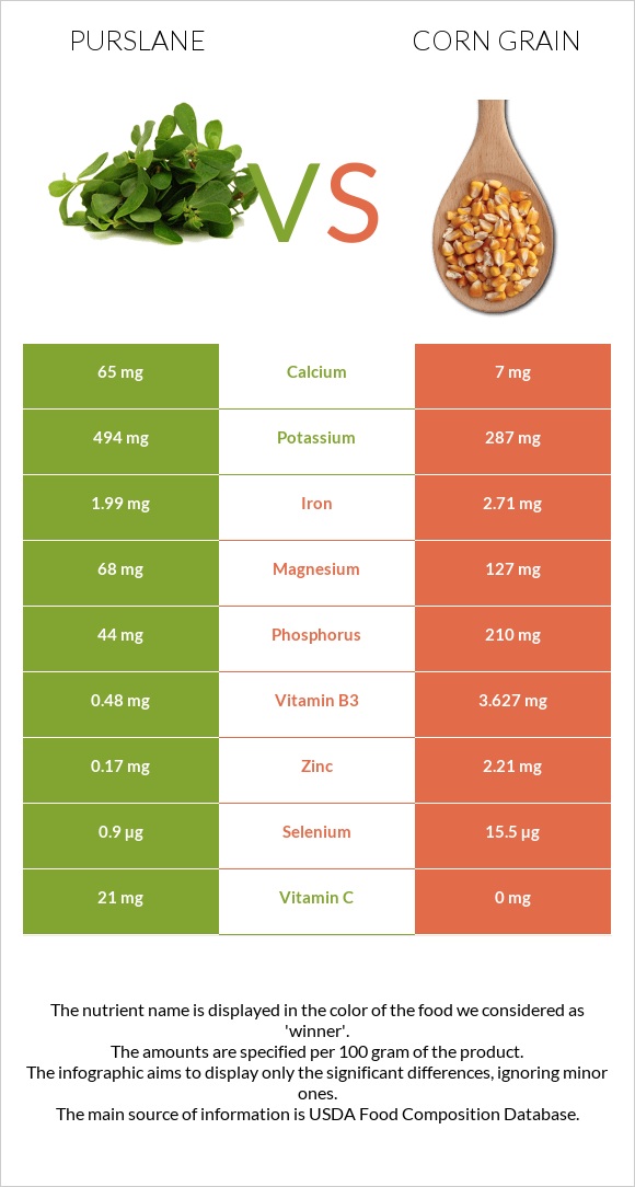 Purslane vs Corn grain infographic