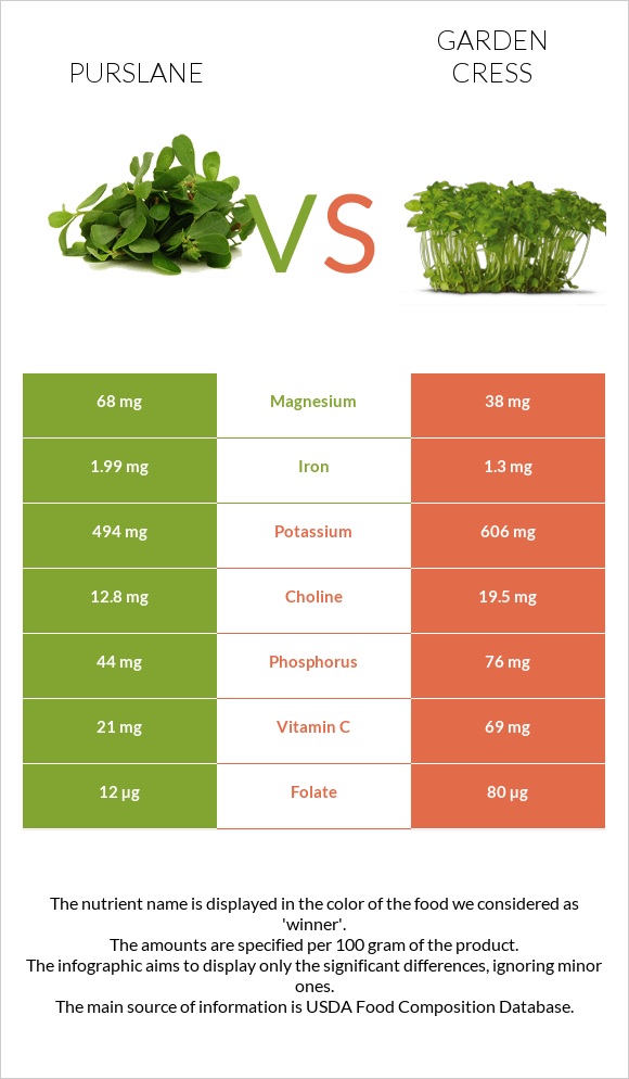 Purslane vs Garden cress infographic